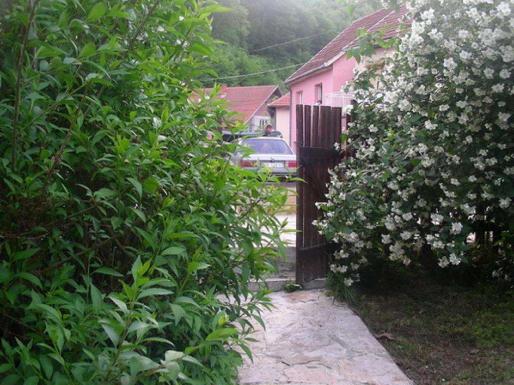 Guesthouse Smiljanic Slavkovica Exterior photo