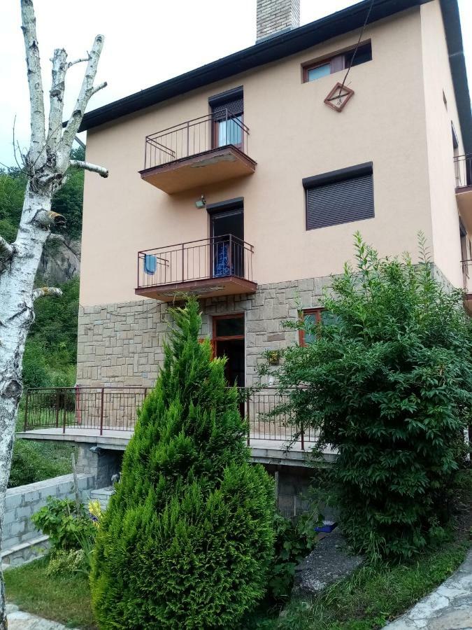 Guesthouse Smiljanic Slavkovica Exterior photo
